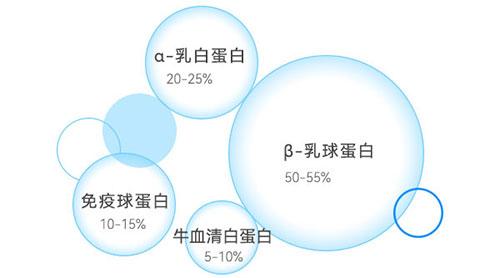 乳清蛋白成分示意图 乳清蛋白成分示意图